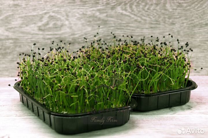 Микрозелень