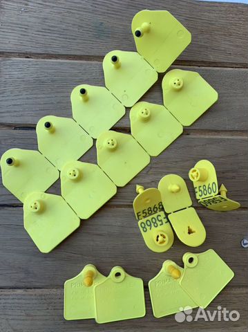 Ушные бирки для животных