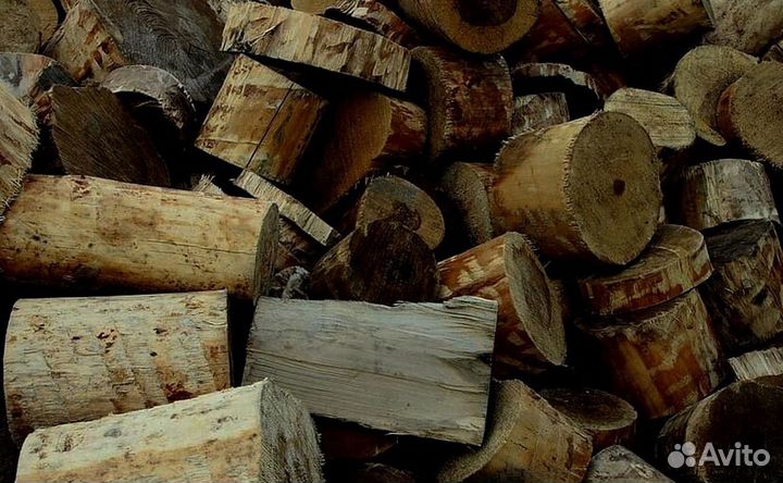 Дрова осина