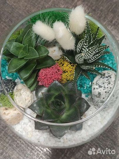 Флорариум, суккуленты