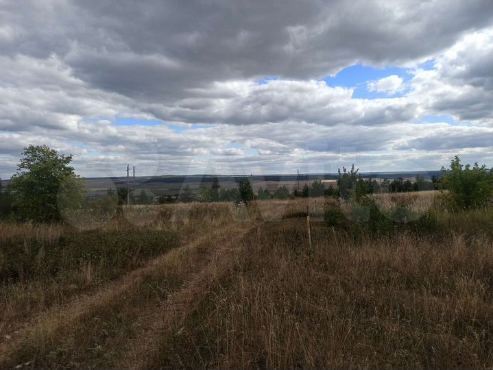 Участок 6,3 сот. (СНТ, ДНП)