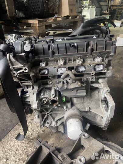 Двигатель 1.6 pnda 125 л.с МКПП Ford Focus 3