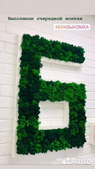 Логотип из стабилизированного мха(натуральный мох)