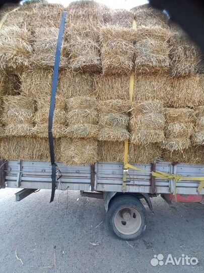 Тюки ячмень