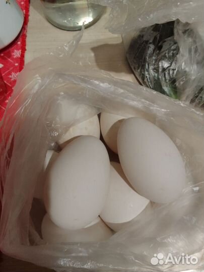 Яйцо домашнее