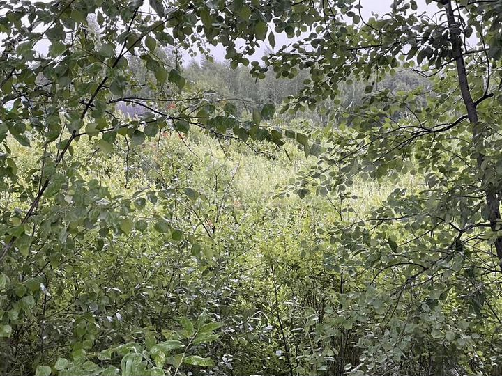 Участок 11,2 сот. (СНТ, ДНП)