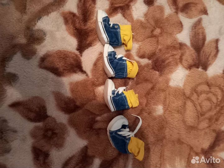 Кеды и одежда для собаки