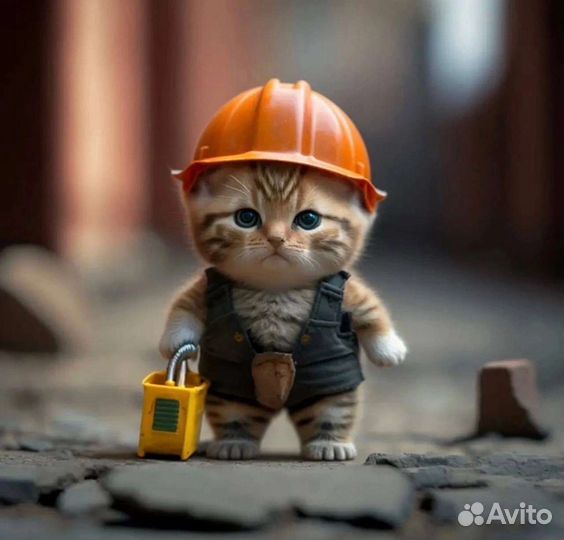 Мастер на час