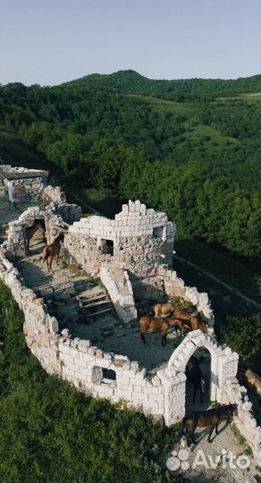 Джиппинг тур поездка в горы к водопадам. Экскурсия