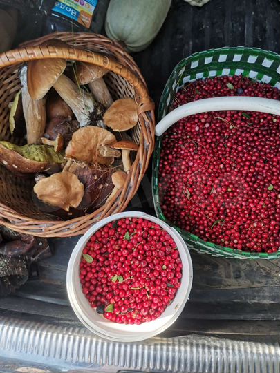 Участок 6,4 га (СНТ, ДНП)