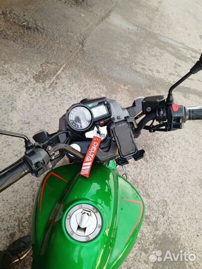 Stels flame 200