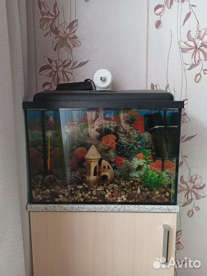 Аквариум с тумбой и рыбками