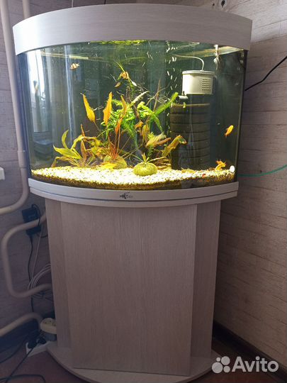 Аквариум Биодизайн