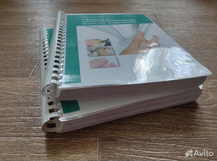 Учебник и атлас по подологии Н. Шольц