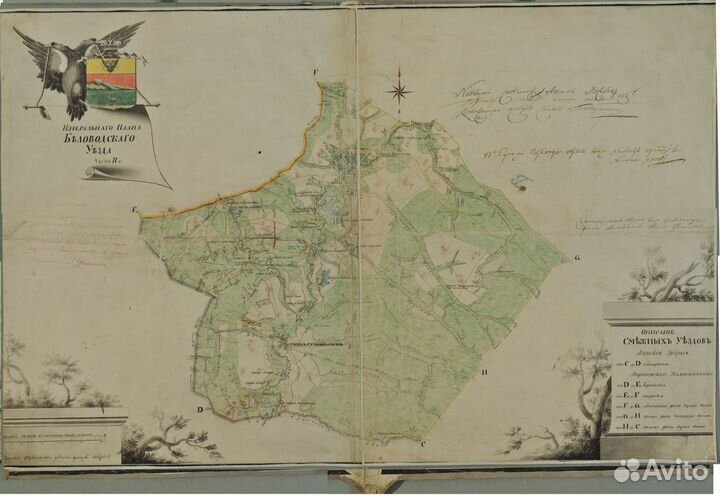 Генеалогические исследования