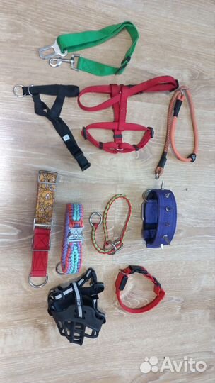 Одежда для собак