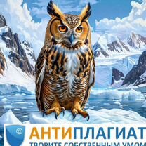 Антиплагиат вуз проверка + отчет, рерайт до 70-95%. Сможем повысить оригинальность сейчас, Чернигов