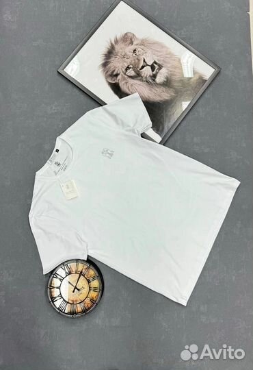 Футболка мужская Brunello Cucinelli