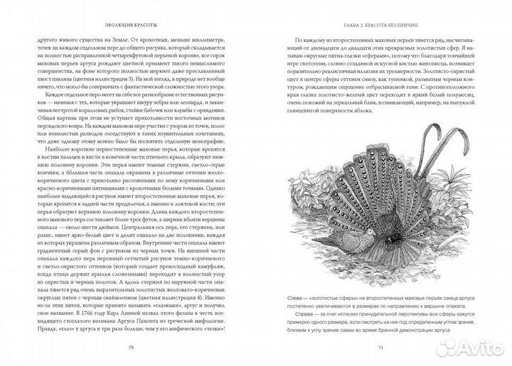 Новая книга Эволюция красоты - Ричард Прам миф