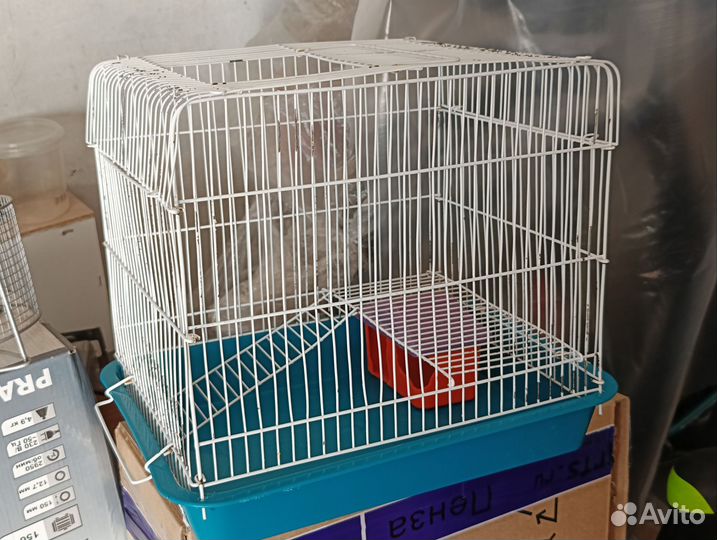 Клетка для грызунов джунгариков
