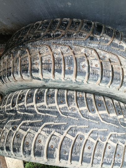 Contyre Arctic Ice 205/55 R16