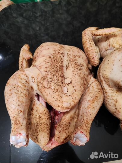 Мясо домашней курицы