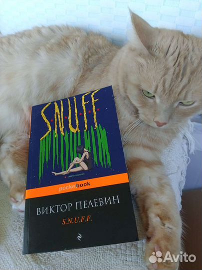 Книга Пелевина