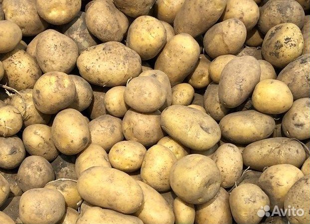Продам картофель с доставкой