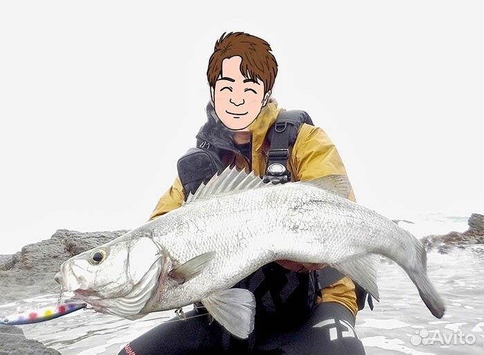 Daiwa morethan wisemen 109M