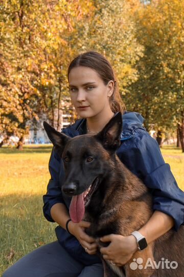 Услуги кинолога