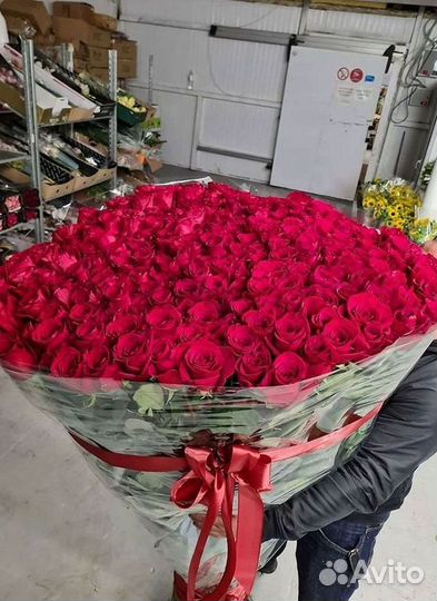 Розы гиганты 140 150 160 170 180 200