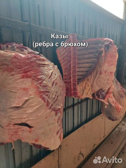 Мясо конина мелкий опт