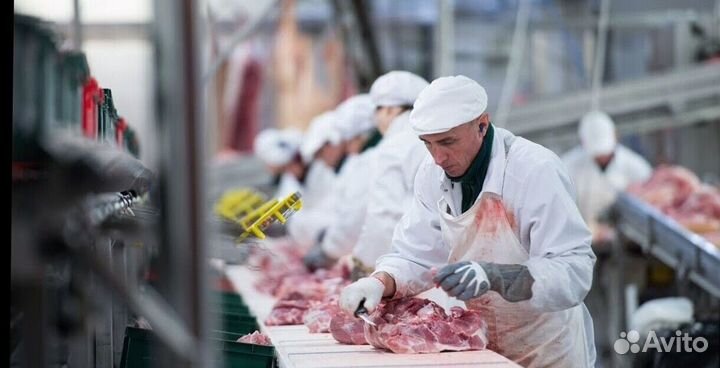 Работа разнорабочим на мясокомбинате(Вахта)