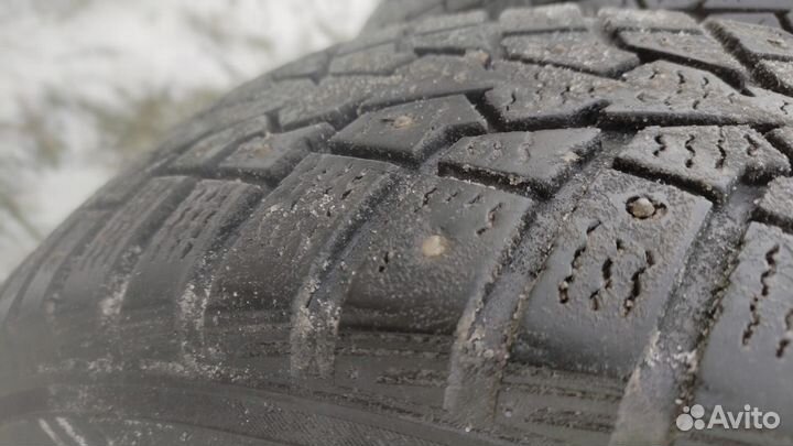 Maxxis Arctic Trekker SP03 185/65 R15