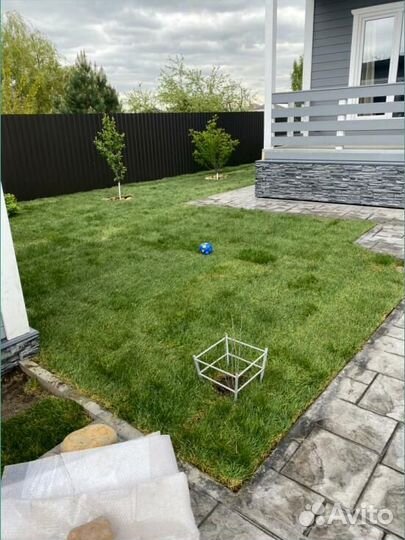Рулонный газон под ключ