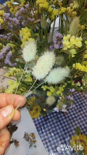 Цветы. Сухоцветы для творчества