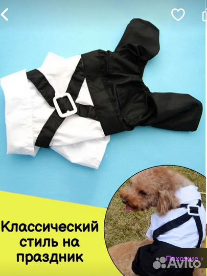 Костюм-смокинг для собак праздничный