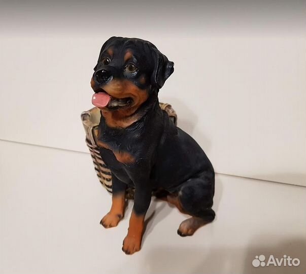 Собака ротвейлер-кашпо