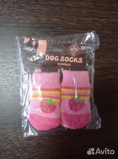 Вещи для собаки