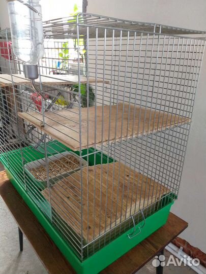 Клетки шиншилл, крысс, свинки, кролика, хомяков