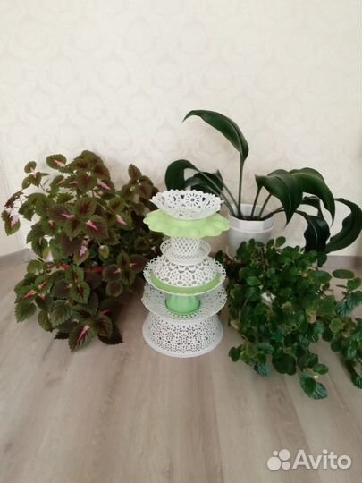 Украшения для сада