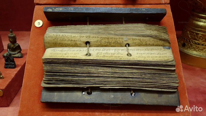 Ведический астролог