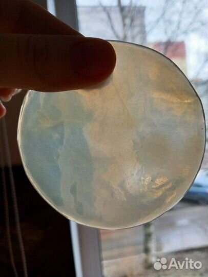 Чайный гриб