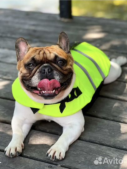 Спасательный жилет для животного