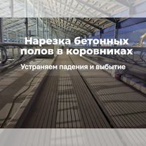 Нарезка бетонных полов (штроб) в коровниках, Тамбов