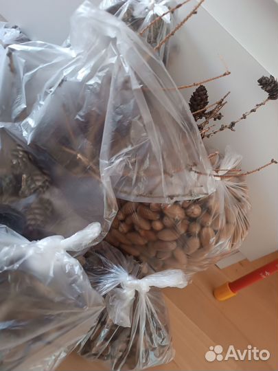 Природные материалы для творчества