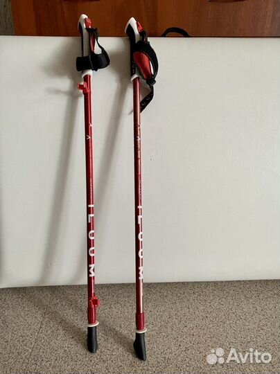 Палки для скандинавской ходьбы телескопические