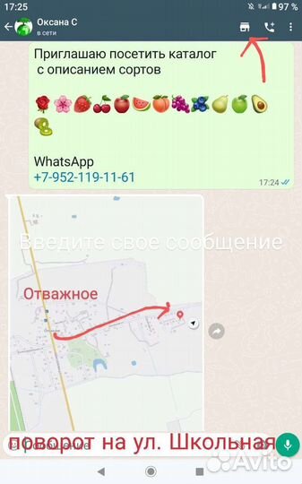 Слива Писсарди саженцы