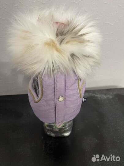 Вещи для маленьких собак