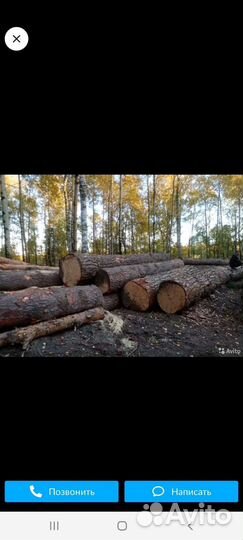 Лес кругляк пиловочник